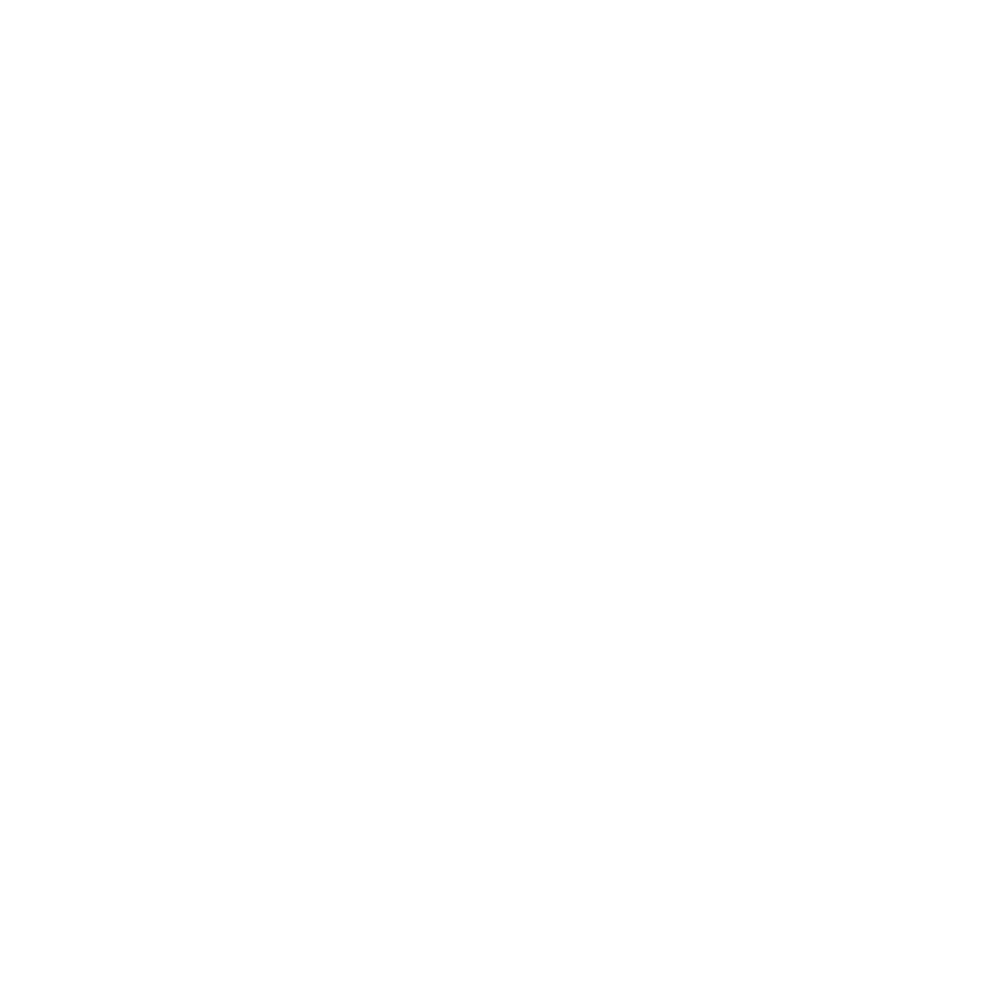 Pro Code Team Logo